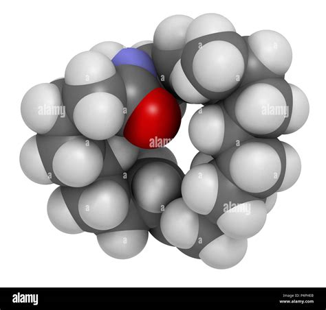 Oleoylethanolamide Oea Endogenous Peroxisome Proliferator Activated