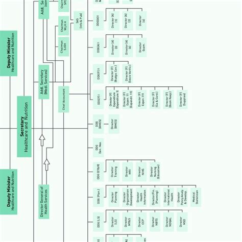 1 Organizational Chart Of The Ministry Of Health Nutrition And Download Scientific Diagram