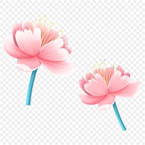 Decorative Flowers Clipart Transparent PNG Hd Watercolor Flower