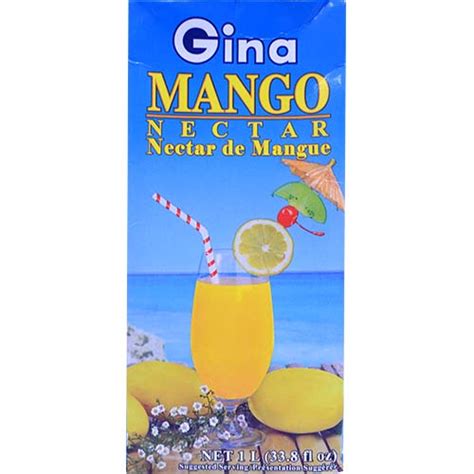 Gina Mango Nectar Tetra Pack 1000ml Akabane Bussan