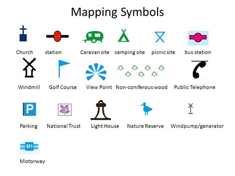 Coniferous Wood Map Symbol Cassey Angelique