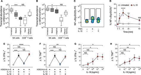 Frontiers Adaptive Natural Killer Cells Integrate Interleukin 18