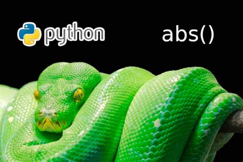 Python Función Abs Tech Krowd