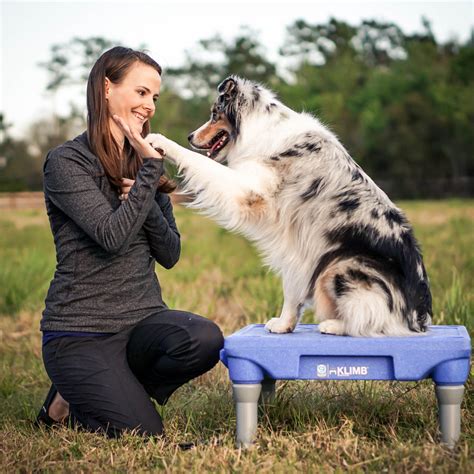 About The Klimb® Dog Training Platform Details Reviews And More Blue