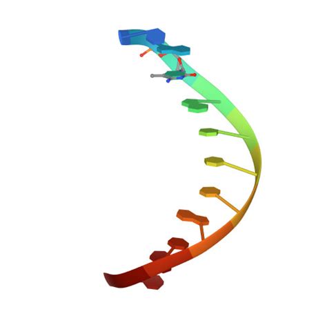 Rcsb Pdb 5kl5 Wilms Tumor Protein Wt1 Znf2 4 Q369h In Complex With