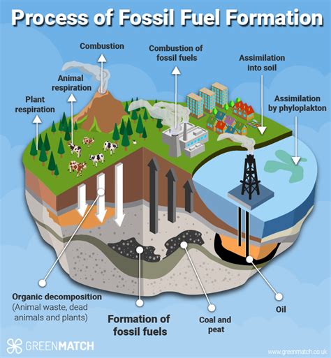 Why Fossil Fuels are Bad for the Planet: An In-depth Analysis