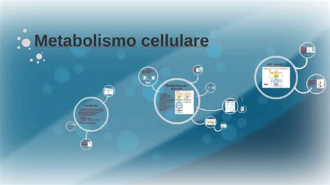 Metabolismo Cellulare By Marta Zaffaroni On Prezi