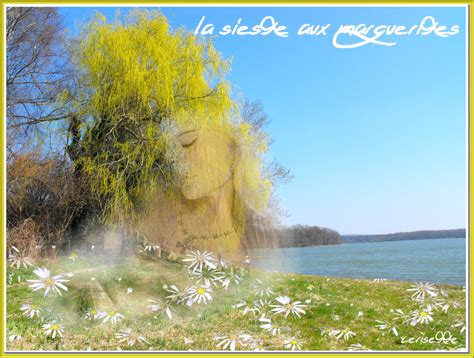 Gifs Printemps Ou Spring Tout Pour D Corer Vos Blogs Et La Nature