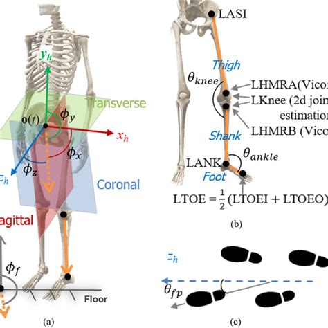 Pdf D Canonical Pose Estimation And Abnormal Gait Recognition With A