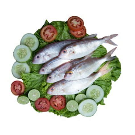 Sudha (Threedfin Bream) -1 KG - Meat Mart