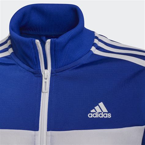 Adidas Essentials Track Suit