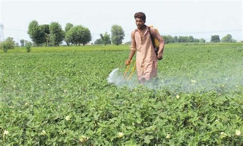 Sindh Mulls Halving Agriculture Income Tax Exemption Pakistan DAWN