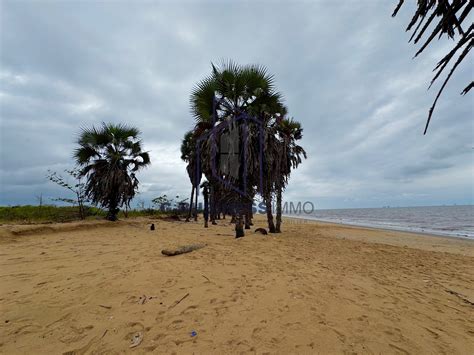 Vente Dune Concession De Hectares Ou M Au Bord De La Mer