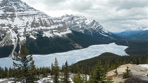 Peyto Lake - Banff National Park - Casual Trekkers