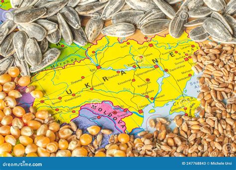 Wheat Grains Corn And Sunflower Seeds On The Map Of Ukraine Editorial