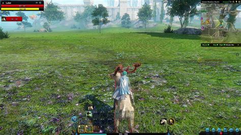 Riders Of Icarus Familiars Youtube