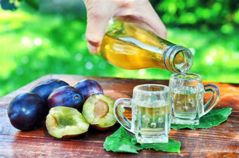 How To Make Slivovitz Eastern Europes Favorite Plum Brandy