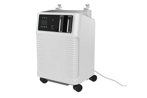 L Oxygen Concentrator Besure Import Export Co Ltd