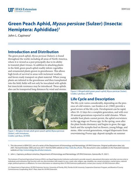 Pdf Green Peach Aphid Myzus Persicae Sulzer Insecta Hemiptera