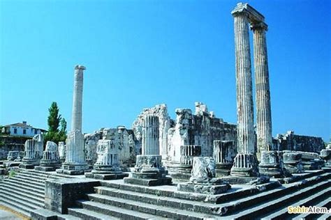 5 Day Tour Of Ephesus Miletus Priene Didyma And Pamukkale By Bus