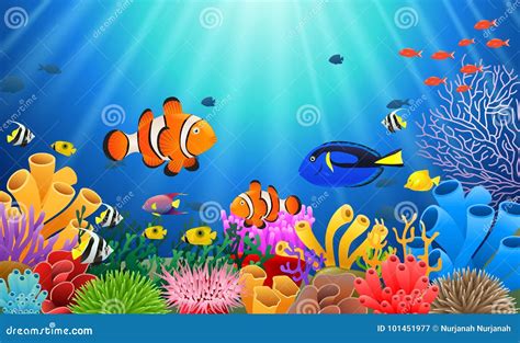 Clown fish under the sea. stock vector. Illustration of artwork - 101451977