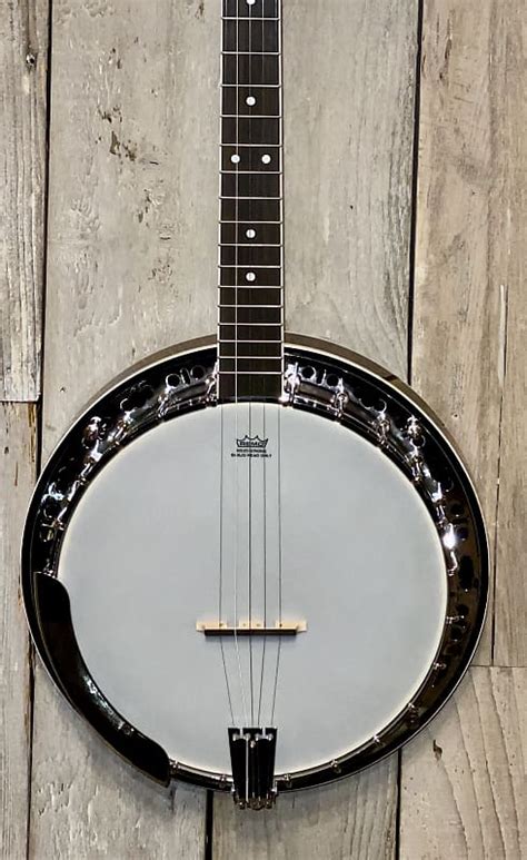 Washburn Americana B11 5 String Resonator Banjo Complete Reverb