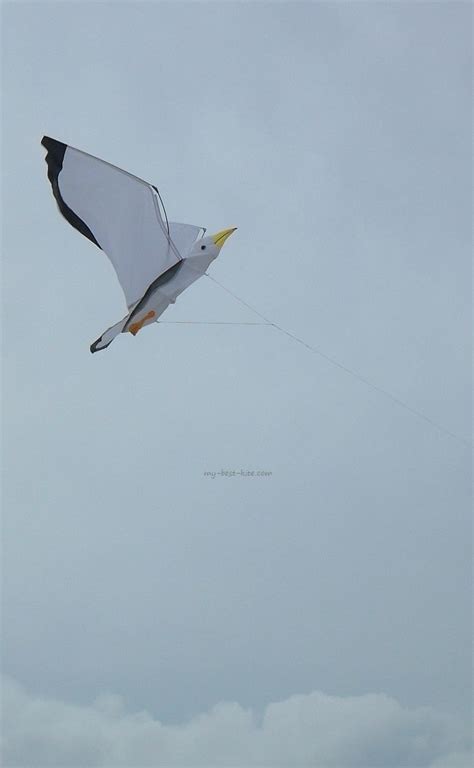 This Bird Kite Is A Quite Realistic Recreation Of A Sea Gull Or Maybe