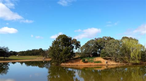 RDO Melbourne: African Safari Tour, Werribee Zoo