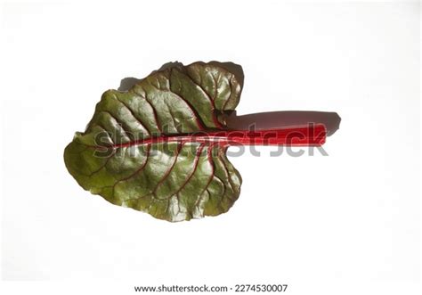 Swiss Chad Leaf Isolated White Background Stock Photo 2274530007