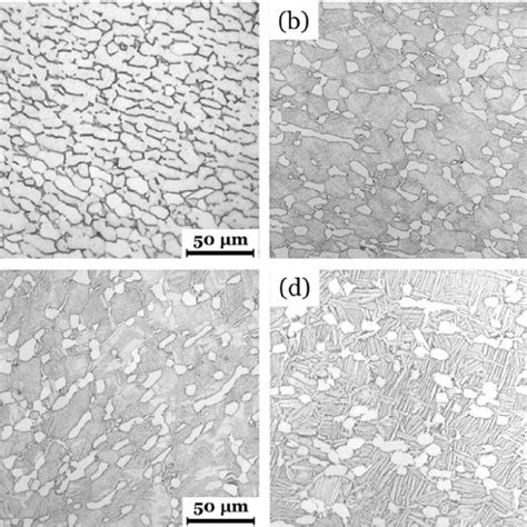 Optical Microstructures Of The Equiaxed Microstructure E A And The