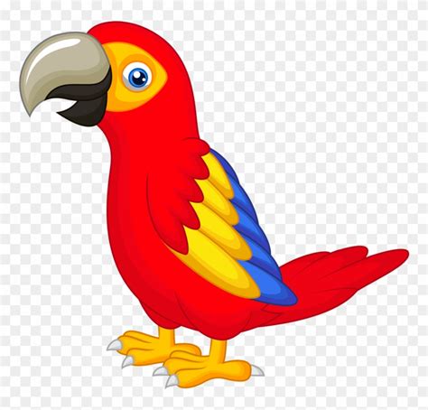 Parrots Clipart