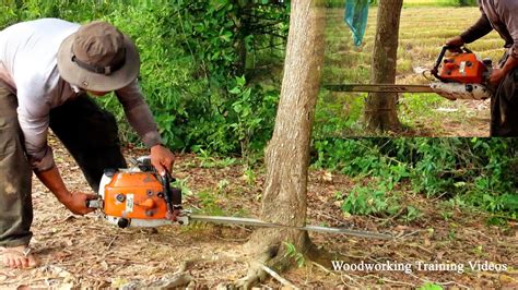 Trees Felling Skills With Stihl Chainsaw Ms720 Trees Cutting Down Indonesia Style Youtube