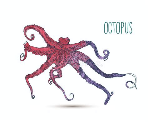 Vector Illustration With Octopus Stock Illustration Illustration Of Colorful Octopus 49364101