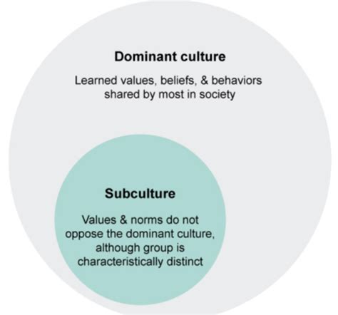 Mcat Psych Identity And Social Interaction Flashcards Quizlet