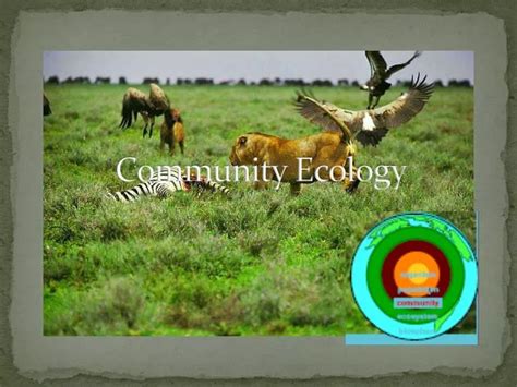 Ppt Community Ecology Powerpoint Presentation Free Download Id 1951651