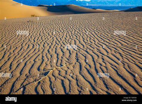 Bright Sunny Morning Stock Photo Alamy