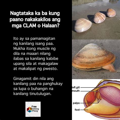 noong bata ako akala ko  thinking pinoy channel facebook