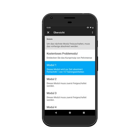 Fünf Module bringen Sie Schritt für Schritt voran