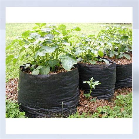 Buy Plastic Nursery Bag Black Pack Of 10 Greens Of Kerala