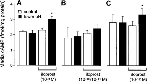 Effect of iloprost dose on permissive role of iloprost. Data are ...