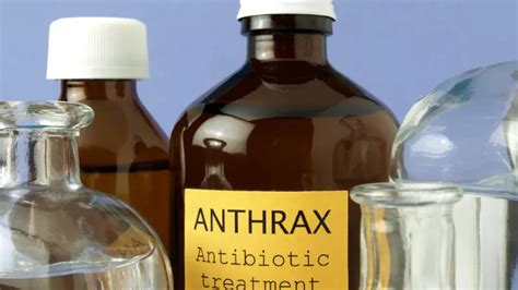 Anthrax: Definition, Transmission, Treatment