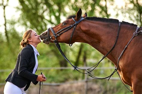 Los secretos detrás del entrenamiento de Caballo Hípica La Calderona