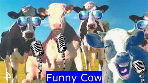 11 Minutes Of Funny Cow Dance And Cow Song Compilation Best Of 2024 Cow