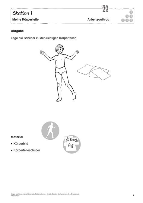 Grundschule Unterrichtsmaterial Sachunterricht K Rper Und Gesundheit