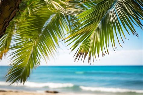 Premium Photo Beautiful Landscape Of Coconut Palm Tree On Tropical Beach