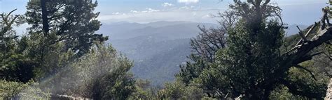 Mount Tamalpais Middle Peak Loop California 782 Reviews Map Alltrails