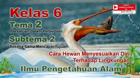 IPA Kelas 6 Tema 2 Subtema 2 Cara Hewan Menyesuaikan Diri Terhadap