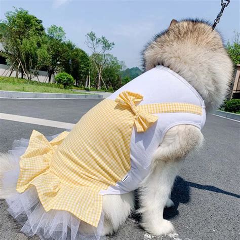 Summer Clothes For Big Dogs – Cute And Sweet Dress – DogMega.Com