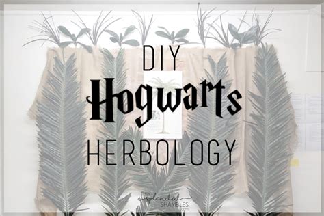 The Ultimate Hogwarts Dinner Event How To Create A Herbology Class