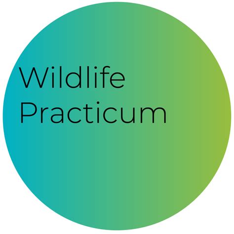 Online Basic Wildlife Rehabilitation International Wildlife Rehabilitation Council